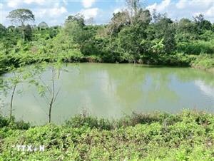 Đắk Lắk: Rủ nhau đi tắm hồ, 3 em nhỏ bị đuối nước thương tâm