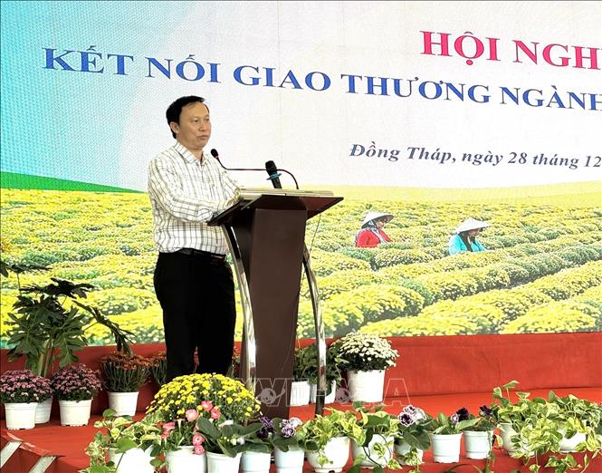 PGS. TS Đặng Văn Đông - Phó Viện trưởng Viện Rau quả Việt Nam phát biểu. Ảnh: Hồng Nhung - TTXVN 