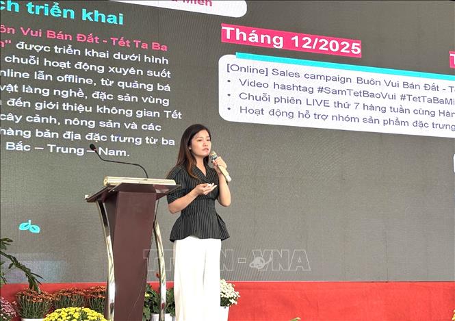 Bà Trần Thị Tân - Đại diện TikTok Shop hướng dẫn nhà bán hàng thu hút khách hàng qua thương mại điện tử. Ảnh: Hồ