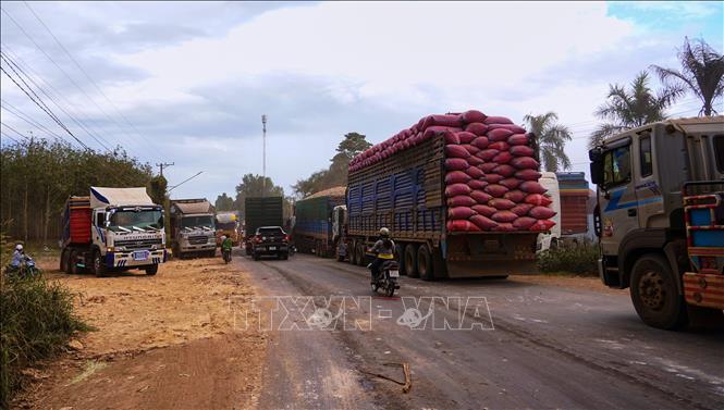 Các phương tiện chờ đến lượt làm thủ tục bốc dỡ, sang tải. Ảnh: Minh Phú - TTXVN