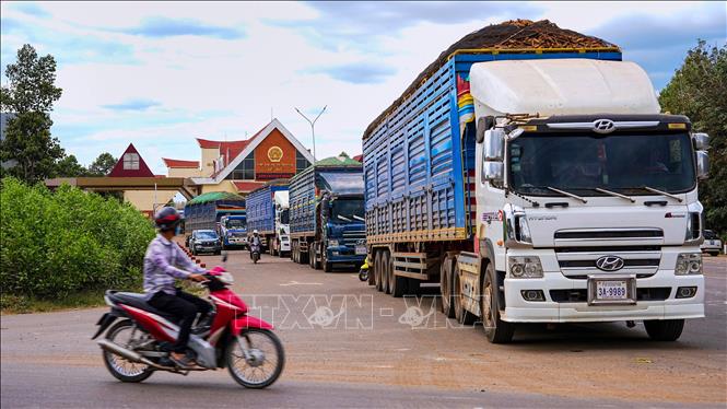 Xe tải nặng chở sắn củ nối đuôi nhau trước Cửa khẩu quốc tế Xa Mát chờ vào bãi tập kết, kiểm tra, giám sát hàng hóa xuất khẩu, nhập khẩu Đồng Phước. Ảnh: Minh Phú – TTXVN