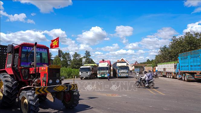 Xe chờ sang tải kéo dài, gây áp lực giao thông khu vực Cửa khẩu quốc tế Xa Mát (Tây Ninh). Ảnh: Minh Phú – TTXVN