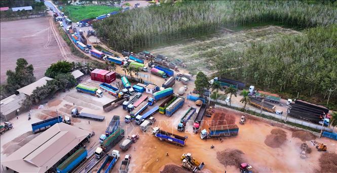 Xe tải chở nông sản từ Campuchia qua Cửa khẩu quốc tế Xa Mát ùn ứ tại bãi sang tải trong giờ cao điểm. Ảnh: Minh Phú – TTXVN