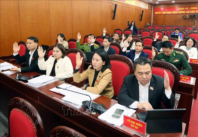 Địa biểu biểu quyết thông qua các Nghị quyết tại kỳ họp. Ảnh: Quang Quyết - TTXVN