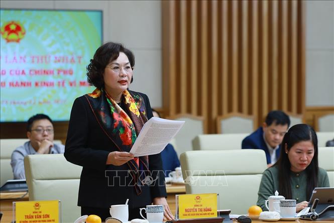 Thống đốc Ngân hàng Nhà nước Nguyễn Thị Hồng phát biểu. Ảnh: Dương Giang-TTXVN 
