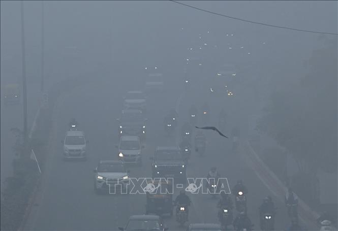 Các phương tiện di chuyển trong màn sương mù dày đặc tại New Delhi, Ấn Độ ngày 29/12/2025. Ảnh: ANI/TTXVN
