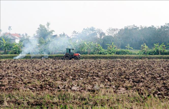 Cày ải tại xã Xuân Giang, tỉnh Ninh Bình. Ảnh: Thái Thuần - TTXVN