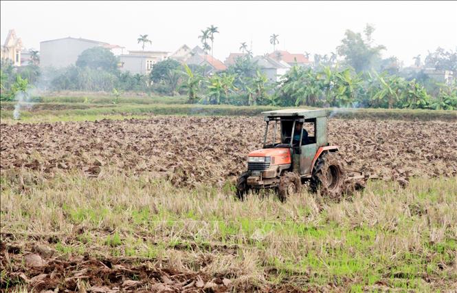 Tranh thủ thời tiết thuận lợi nông dân xã Xuân Giang làm đất để kịp thời vụ. Ảnh: Thái Thuần - TTXVN