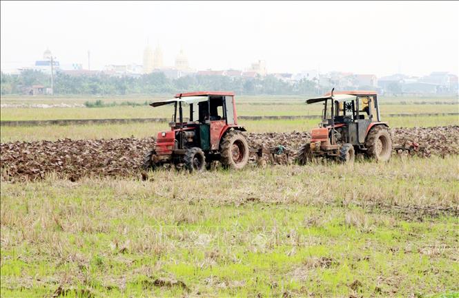 Nông dân xã Xuân Trường, tỉnh Ninh Bình  tập trung máy móc tranh thủ làm đất cho kịp tiến độ thời vụ. Ảnh: Thái Thuần - TTXVN