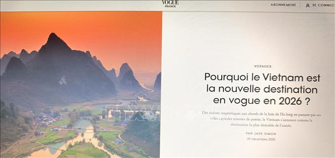 Bài báo có tiêu đề 