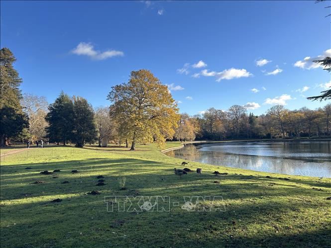 Khung cảnh thiên nhiên thị trấn Esher, ngoại ô London (Anh). Ảnh: Phong Hà - PV TTXVN tại Anh