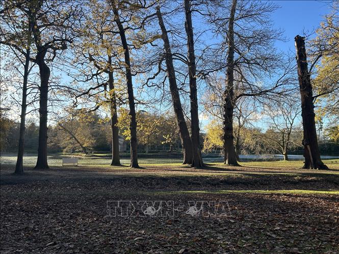 Cảnh sắc mùa Đông ở Vương quốc Anh. Ảnh: Phong Hà - PV TTXVN tại Anh