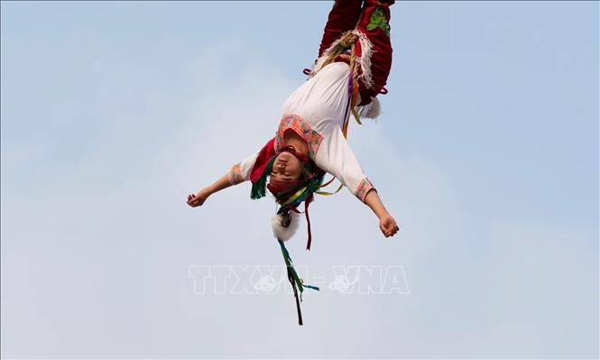 Các Voladores - người bay biểu diễn trong nghi lễ  Danza de los Voladore. Ảnh: TTXVN phát