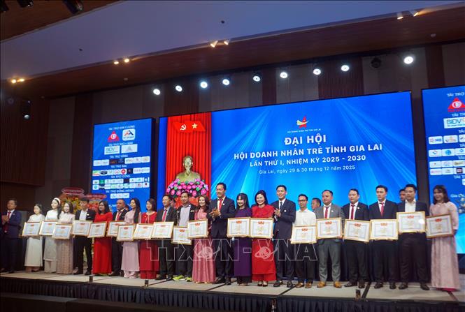 Tặng Bằng khen của Trung ương hội doanh nhân trẻ Trung ương và Chủ tịch UBND tỉnh cho các tập thể và cá nhân có thành tích xuất sắc trong nhiệm kỳ qua. Ảnh: Trịnh Bang Nhiệm - TTXVN