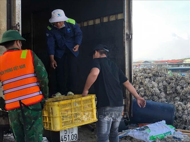 Số cá chết được Công ty TNHH Phúc Lộc thu mua, chế biến làm bột cá, góp phần hỗ trợ người nuôi trồng thủy sản giảm bớt khó khăn trong giai đoạn hiện nay. Ảnh: Hoàng Nhị - TTXVN