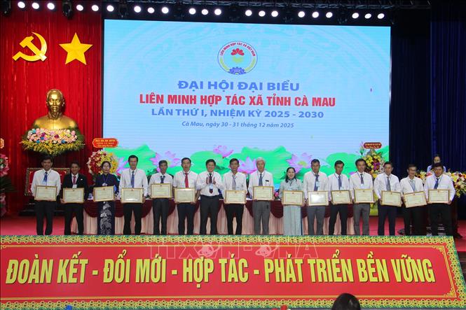 Lãnh đạo UBND tỉnh Cà Mau trao Bằng khen cho các tập thể, cá nhân có thành tích. Ảnh: Trung Hiếu - TTXVN