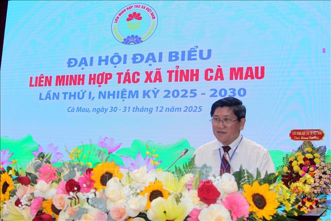 Ông Lê Văn Sử, Phó Chủ tịch UBND tỉnh Cà Mau, phát biểu tại Đại hội. Ảnh: Trung Hiếu - TTXVN