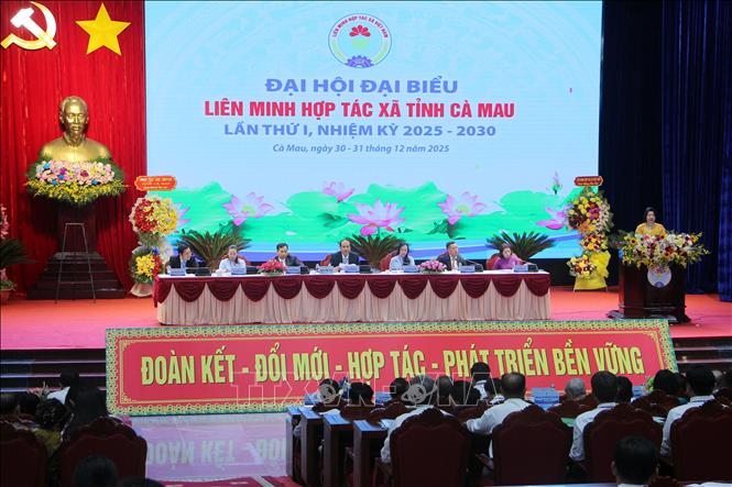 Quang cảnh Đại hội. Ảnh: Trung Hiếu - TTXVN