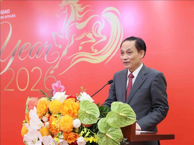  Đồng chí Lê Hoài Trung, Bí thư Trung ương Đảng, Bộ trưởng Bộ Ngoại giao phát biểu tại buổi gặp mặt. Ảnh: An Đăng - TTXVN