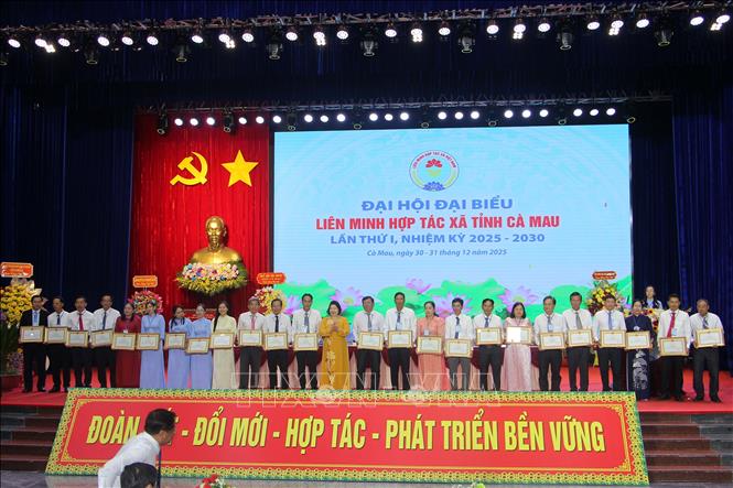 Bà Cao Xuân Thu Vân, Chủ tịch Liên minh HTX Việt Nam tặng Bằng khen cho các tập thể cá nhân có thành tích. Ảnh: Trung Hiếu - TTXVN