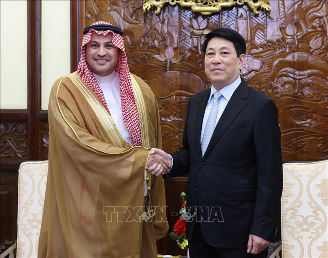 Chủ tịch nước Lương Cường tiếp Đại sứ Vương quốc Saudi Arabia tại Việt Nam Mohammed Ismaeil A. Dahlwy.  Ảnh: Lâm Khánh – TTXVN