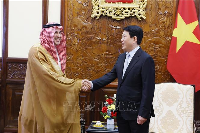 Chủ tịch nước Lương Cường tiếp Đại sứ Vương quốc Saudi Arabia tại Việt Nam Mohammed Ismaeil A. Dahlwy.  Ảnh: Lâm Khánh – TTXVN