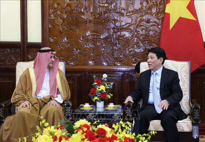 Chủ tịch nước Lương Cường tiếp Đại sứ Vương quốc Saudi Arabia tại Việt Nam Mohammed Ismaeil A. Dahlwy.  Ảnh: Lâm Khánh – TTXVN