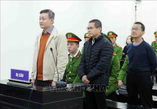 Các bị cáo nghe toà tuyên án. Ảnh: Phạm Kiên - TTXVN