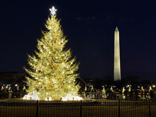 Cây thông Noel Quốc gia Mỹ rực rỡ ánh đèn trong mùa lễ hội, bên cạnh biểu tượng Tháp Bút chì (Washington Monument) nổi tiếng của thủ đô Washington DC. Ảnh: Ngọc Quang – PV TTXVN tại Mỹ