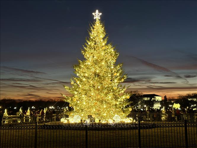 Truyền thống thắp sáng Cây thông Noel Quốc gia bắt đầu từ năm 1923, khi Tổng thống Calvin Coolidge thắp sáng cây linh sam cao gần 15 mét từ Vermont, trang trí bằng 2.500 bóng đèn màu đỏ, trắng và xanh. Ảnh: Ngọc Quang – PV TTXVN tại Mỹ