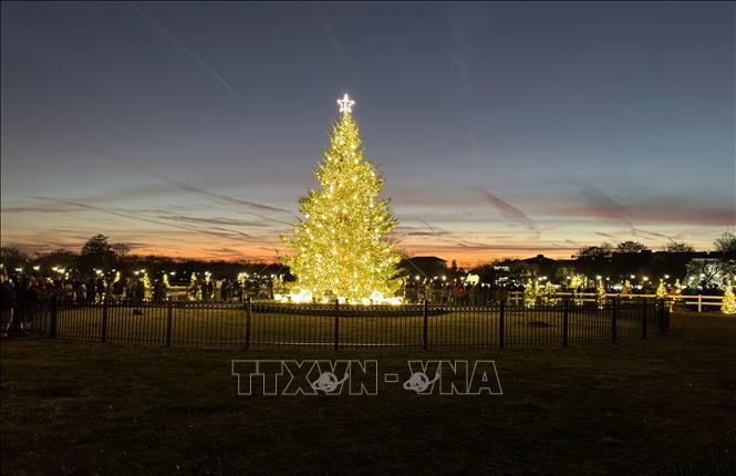 Ánh sáng rực rỡ của cây sẽ được duy trì hàng đêm đến hết ngày 1/1/2026. Ảnh: Ngọc Quang – PV TTXVN tại Mỹ