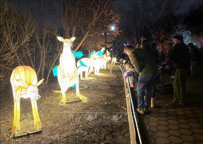 Đối với các gia đình, đây là dịp sum họp và tạo kỷ niệm cuối năm. Ảnh: Ngọc Quang - PV TTXVN tại Mỹ