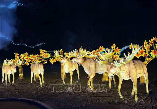 Các tác phẩm trang trí ánh sáng được thiết kế sáng tạo. Ảnh: Ngọc Quang - PV TTXVN tại Mỹ