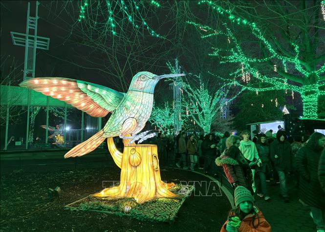 Khu vực trưng bày được bố trí hài hòa, tạo điểm nhấn thị giác ấn tượng cho du khách. Ảnh: Ngọc Quang - PV TTXVN tại Mỹ