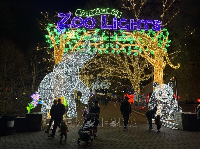  Không chỉ là một sự kiện giải trí quen thuộc của người dân địa phương, ZooLights còn trở thành điểm hẹn văn hóa – du lịch đặc sắc. Ảnh: Ngọc Quang - PV TTXVN tại Mỹ