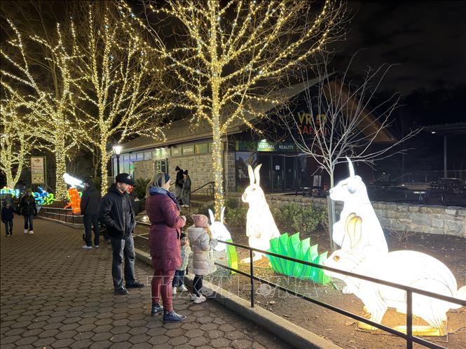 Việc sử dụng đèn LED tiết kiệm năng lượng thể hiện cam kết của Smithsonian trong bảo vệ môi trường và phát triển bền vững. Ảnh: Ngọc Quang - PV TTXVN tại Mỹ