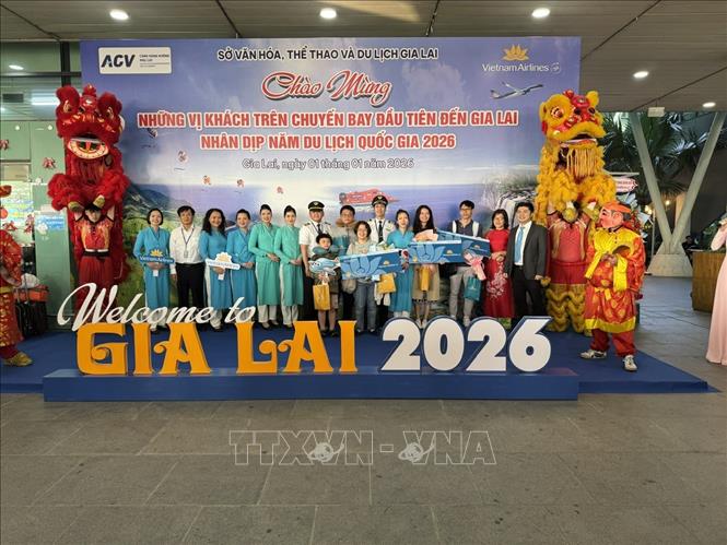 Những vị khách đầu tiên được chào đón nồng nhiệt tại sân bay Phù Cát lúc 5h55. Ảnh: Sỹ Thắng - TTXVN