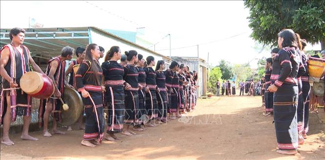 Nhiều hoạt động văn hóa như cồng chiêng, múa xoang được trình diễn tại Lễ cầu hôn (Lễ ăn hỏi) của người Jrai tại tỉnh Gia Lai. Ảnh: Hồng Điệp - TTXVN