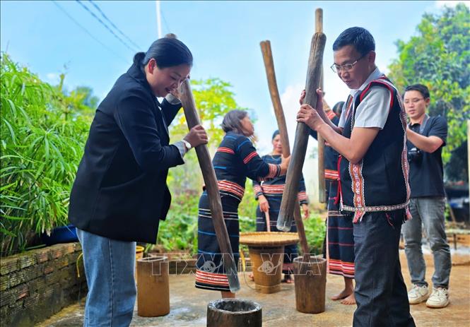 Du khách trải nghiệm giã gạo tại Lễ cầu hôn (Lễ ăn hỏi) của người Jrai tại tỉnh Gia Lai. Ảnh: Hồng Điệp - TTXVN