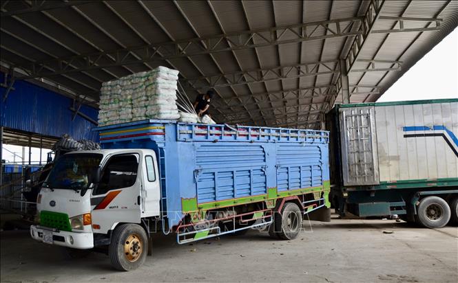 Xe chở hàng nông sản chuẩn bị xuất khẩu sang Campuchia qua Cửa khẩu Quốc gia Khánh Bình, tỉnh An Giang. Ảnh: Thanh Sang-TTXVN