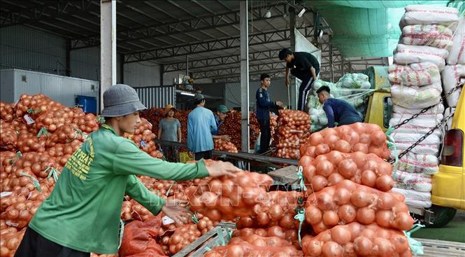 Công nhân chuẩn bị hàng nông sản xuất khẩu sang Campuchia qua cửa khẩu quốc gia Khánh Bình, tỉnh An Giang. Ảnh: Thanh Sang-TTXVN