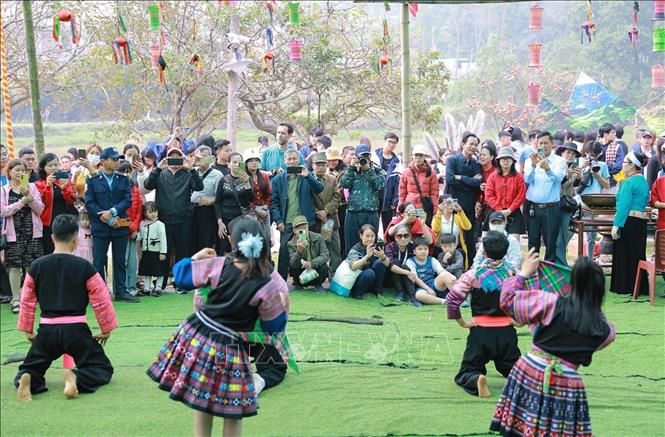 Nhiều du khách chọn 