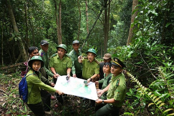 Rangers and locals in Van Canh commune, Gia Lai province coordinated in forest protection. VNA Photo: Vũ Sinh 