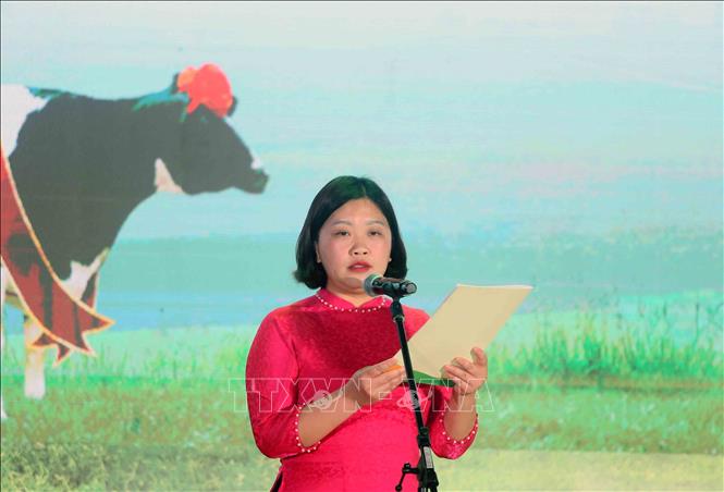 Bà Phạm Tú Uyên, Phó Chủ tịch UBND phường Thảo Nguyên, Phó Trưởng Ban Tổ chức Hội thi Hoa hậu bò sữa mộc Châu 2026 phát biểu. Ảnh: Quang Quyết - TTXVN