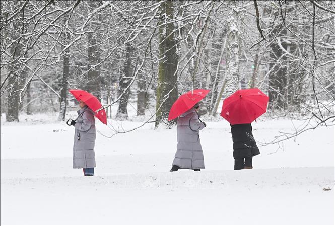 Tuyết phủ trắng tại Berlin, Đức ngày 31/12/2025. Ảnh: Anadolu Agency/TTXVN