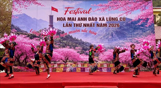 Nhiều tiết mục văn nghệ mang đậm bản sắc văn hóa trong Lễ hội Hoa Mai Anh Đào. Ảnh: TTXVN phát