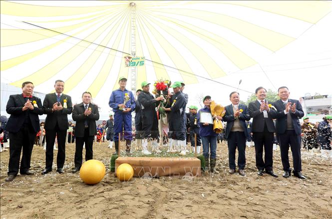 Ban Tổ chức trao vương miện “Hoa hậu” bò sữa Mộc Châu 2026 cho “cô bò” mang số hiệu HS 215505, của gia đình ông Trần Văn Đa, đơn vị chăn nuôi 19/5, Công ty cổ phần giống bò sữa Mộc Châu. Ảnh: Quang Quyết - TTXVN