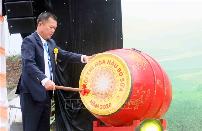 Ông Phạm Hải Nam, Tổng Giám đốc công ty cổ phần giống bò sữa Mộc Châu đánh trống khai Hội. Ảnh: Quang Quyết - TTXVN
