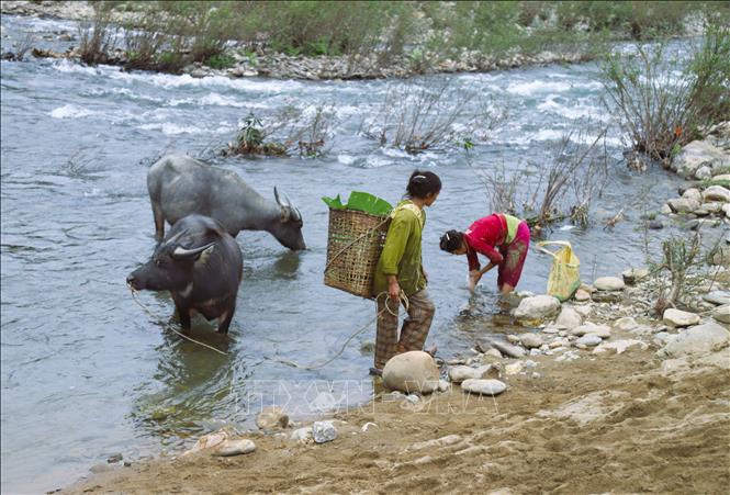 Phụ nữ dân tộc Đan Lai (xã Môn Sơn, tỉnh Nghệ An) sinh sống giữa đại ngàn Pù Mát vượt thượng nguồn sông Giăng để đi lên nương, rẫy. Ảnh: Xuân Tiến - TTXVN 