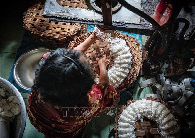 Bột bánh trong máy ép tuôn ra thành sợi nhuyễn. Người thợ thoăn thoắt dùng tay hứng và ngắt sợi thành từng cụm bánh nhỏ, đều đặn trên khay bằng tre. Ảnh: Khánh Hoà - TTXVN